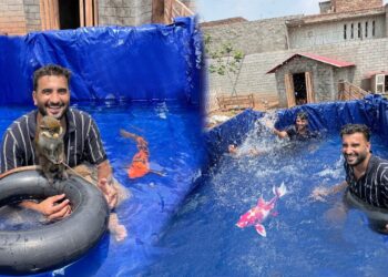 Mini Zoo Main Swimming Pool Bna Diya😍Bht Mza Aya