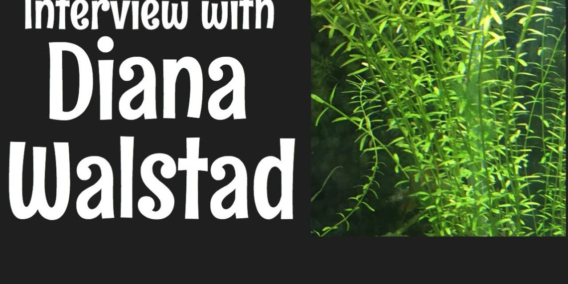 Interview with Diana Walstad, Author of Ecology of the Planted Aquarium