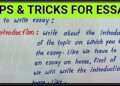 How to Write Essay || Tips and Tricks for Essay writing || 5 Trick for Essay writing || Write Essay