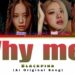 Blackpink – Why Me? (Ai Original Song)