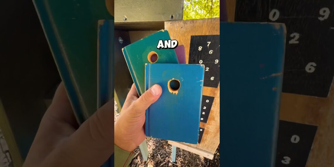 What would you do if this happened to you? Log it as found with ‘needs maintenance’ or log a DNF?!