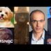 Debunking Trump’s lies: Obama’s fave historian Yuval Harari busts MAGA playbook in Ari Melber intv