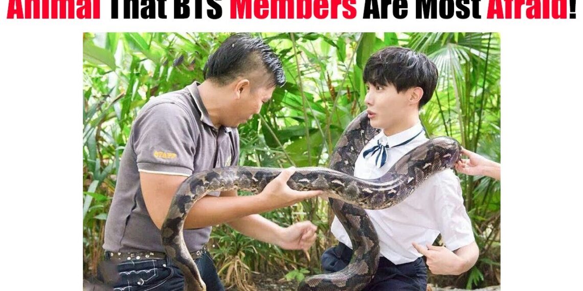 Animal That BTS Members Are Most Afraid! Animal That BTS Members Are Most Afraid!