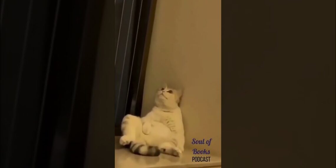 love yourself 💜#bookstagram #shorts #youtubeshorts #youtube #bts #loveyourself #booktube #books#jin love yourself 💜#bookstagram #shorts #youtubeshorts #youtube #bts #loveyourself #booktube #books#jin