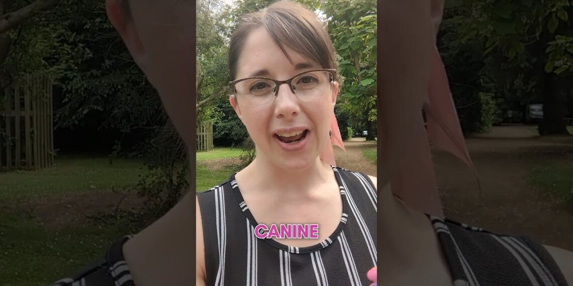 Why did I write the book 𝘍𝘦𝘵𝘤𝘩 𝘔𝘰𝘳𝘦 𝘊𝘭𝘪𝘦𝘯𝘵𝘴?