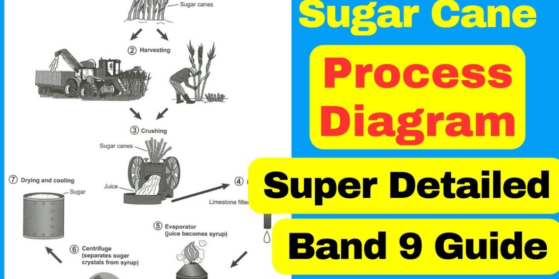 How to Describe a Process Diagram [IELTS Writing Task 1 Band 9 Guide]