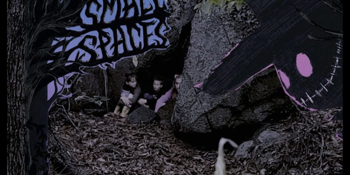 Small Spaces by Katherine Arden Book Trailer