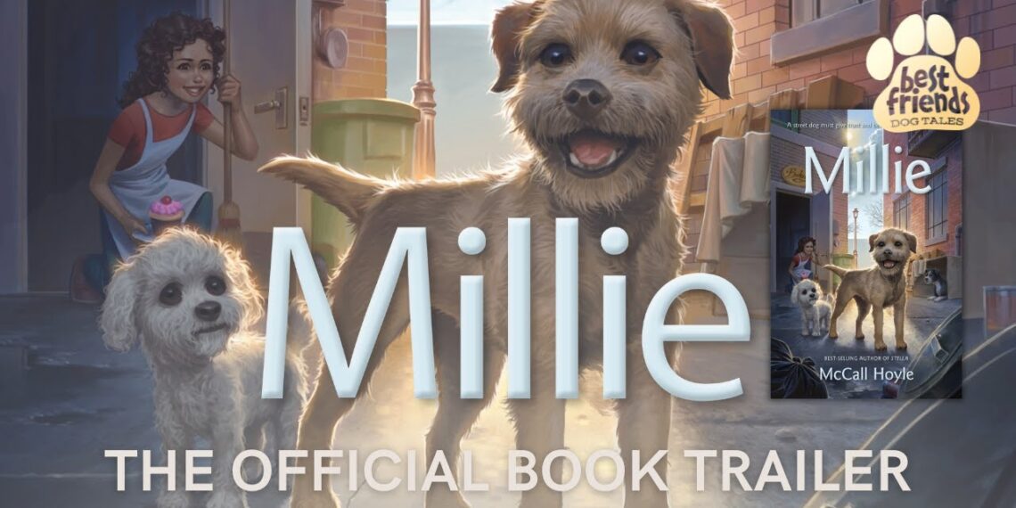 Millie by McCall Hoyle | OFFICIAL BOOK TRAILER