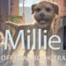 Millie by McCall Hoyle | OFFICIAL BOOK TRAILER