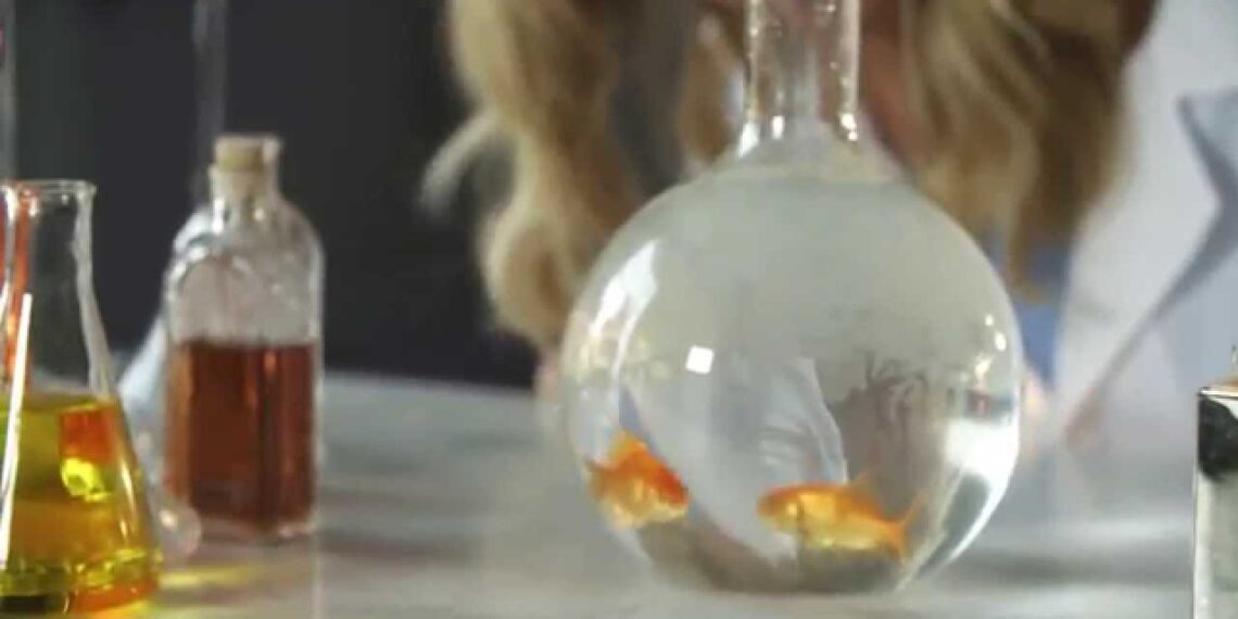 The Fourteenth Goldfish | Book Trailer