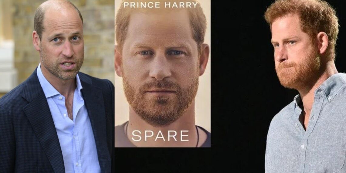 What Prince Harry Said About William Writing a Book One Day