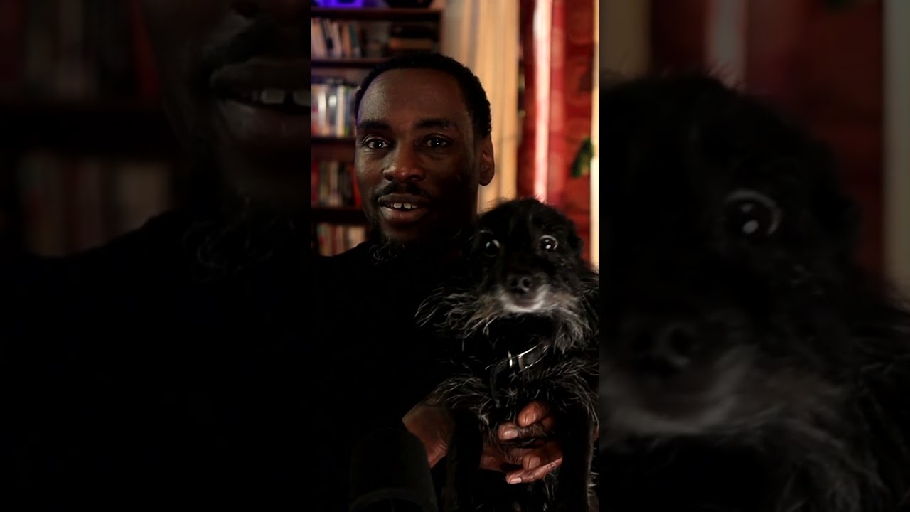 When your DOG INTERRUPTS your Book Review 🐾#shorts