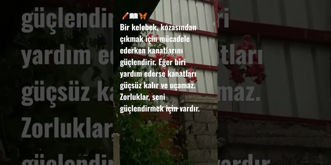 #MOTİVATİON hikayesi 10 #keşfet #study #books #kitap #derscalisma #derscalismagunlugu #yks#lgs #fypシ