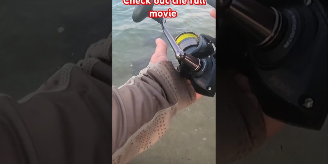 I’ve never seen so many Fish Video Trailer  #fishing #australia #topwaterfishing #new #beachfishing
