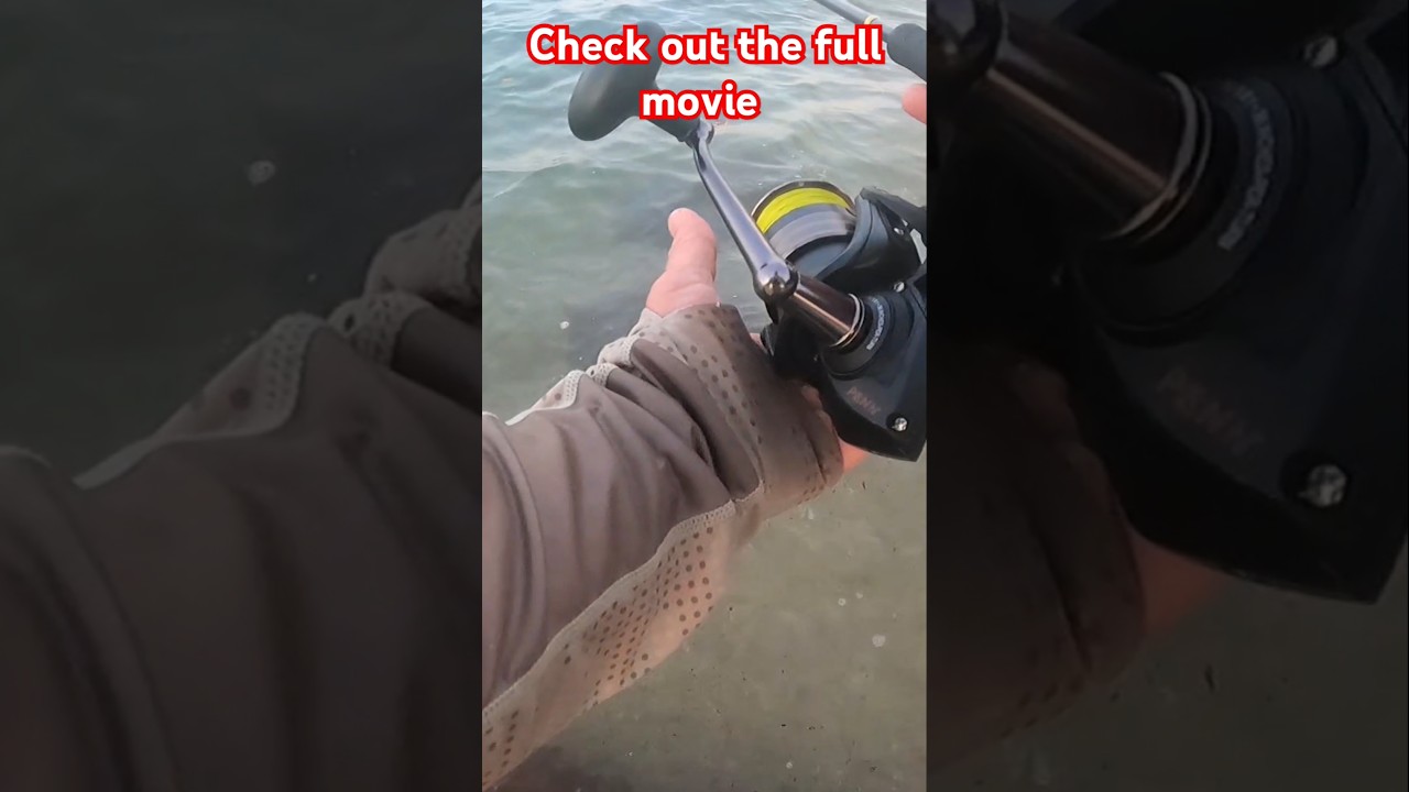I’ve never seen so many Fish Video Trailer  #fishing #australia #topwaterfishing #new #beachfishing