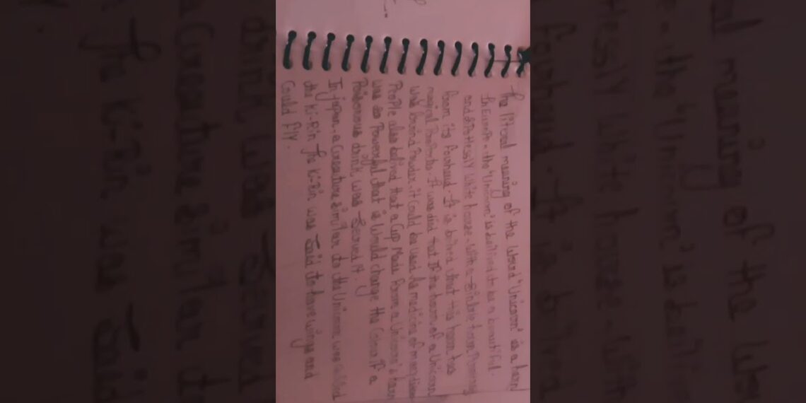 12 December 2024