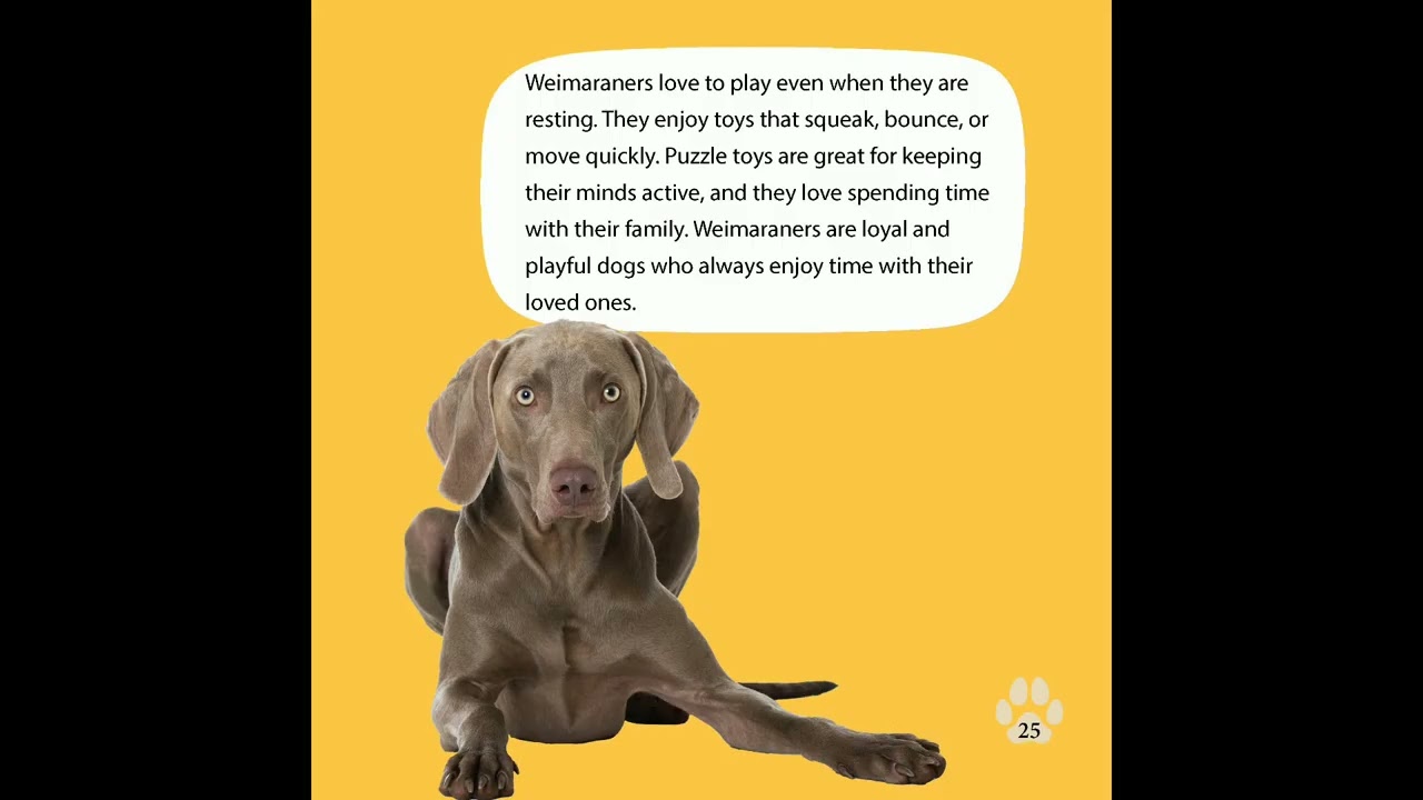 Weimaraners Show Off Fetch Masters: Sporting Dogs Show Off Book Trailer