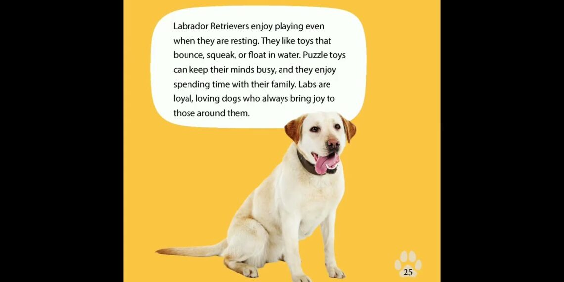 Labrador Retrievers Show Off Fetch Masters: Sporting Dogs Show Off Book Trailer