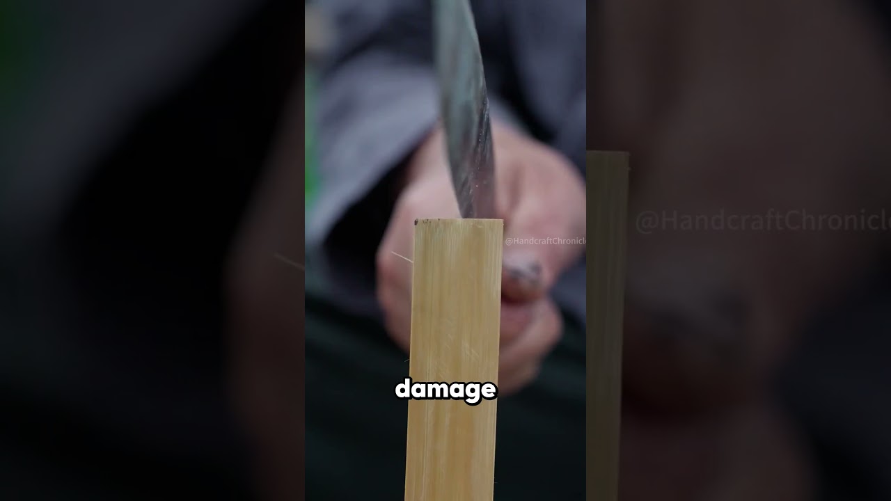 2000-Year-Old Books Were Made of Bamboo! 2000-Year-Old Books Were Made of Bamboo!