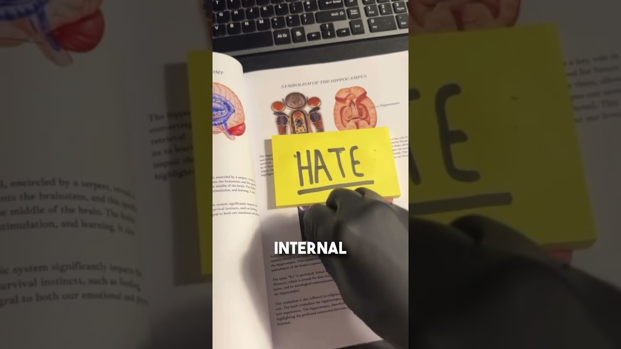 Turning Negative Energy into Positive Action #spiritualawakening  #motivation #mindset #wisdom