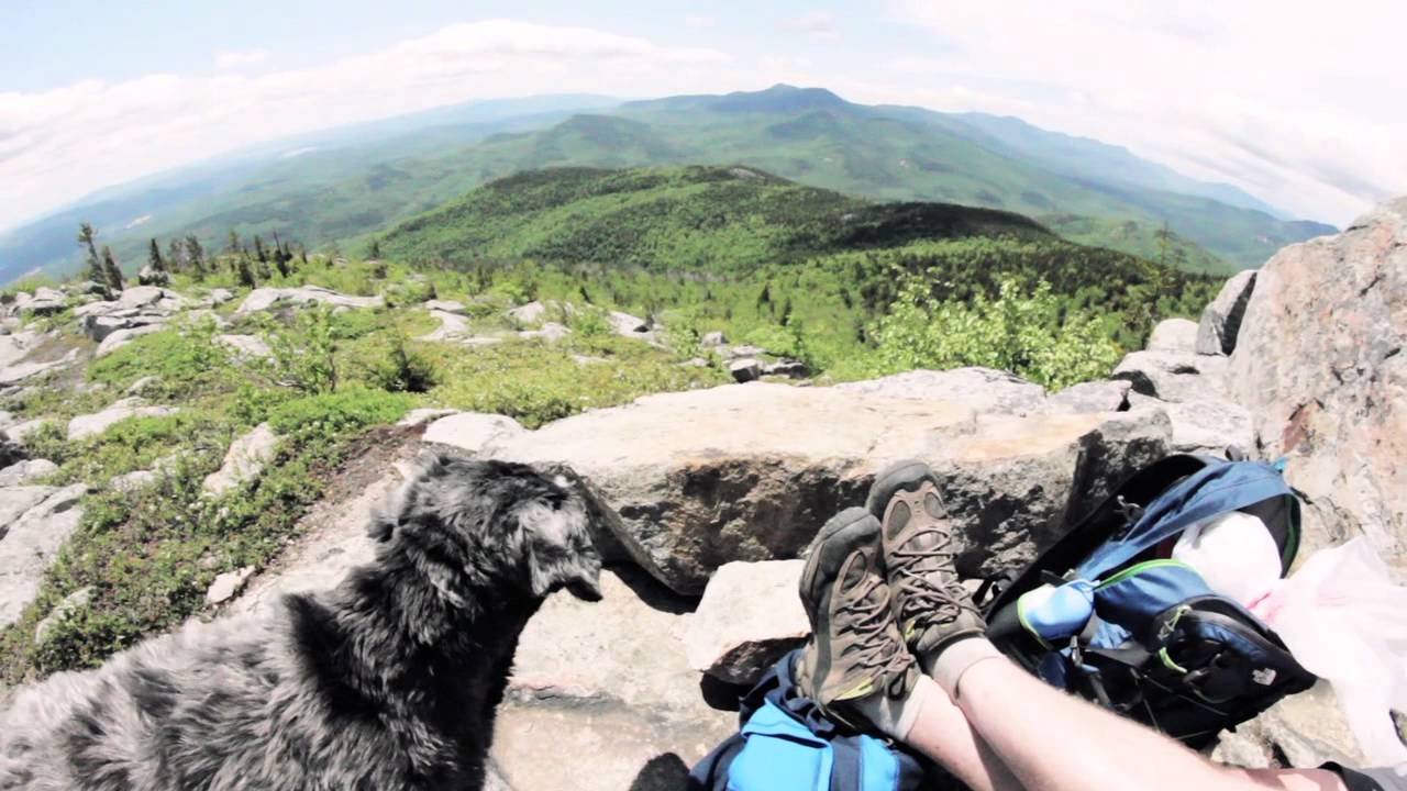 Following Atticus: The Book Trailer Following Atticus: The Book Trailer