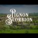 Pignon Scorbion & the Barbershop Detectives, Book Trailer