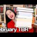 February TBR: New Releases, Your Favorites & Big Books!